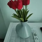 Ro-ma * Novi Vinodolski