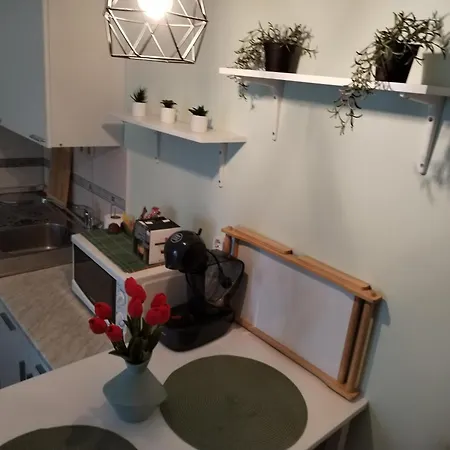 Apartment Ro-ma *